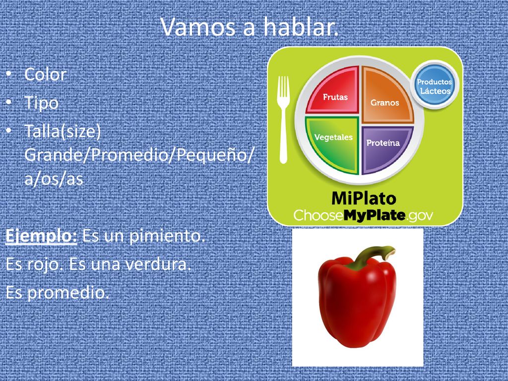 Vamos a hablar. Color Tipo Talla(size) Grande/Promedio/Pequeño/a/os/as
