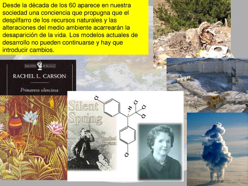 Desde la década de los 60 aparece en nuestra sociedad una conciencia que propugna que el despilfarro de los recursos naturales y las alteraciones del medio ambiente acarrearán la desaparición de la vida.