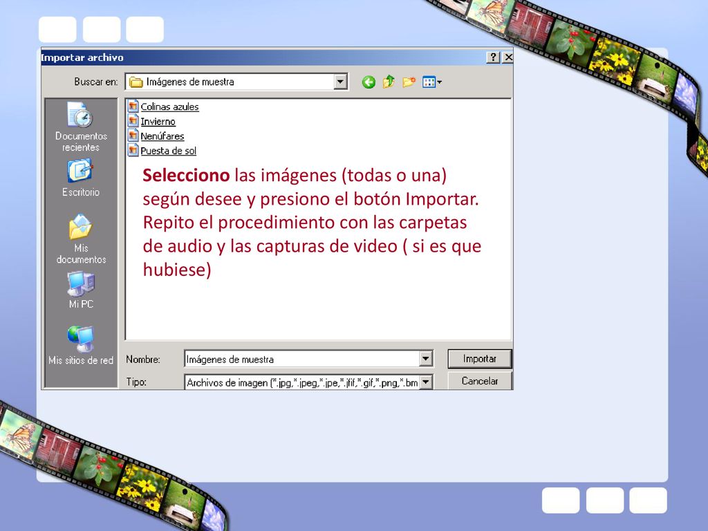Selecciono las imágenes (todas o una) según desee y presiono el botón Importar.