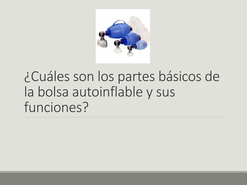 ¿Cuáles son los partes básicos de la bolsa autoinflable y sus funciones