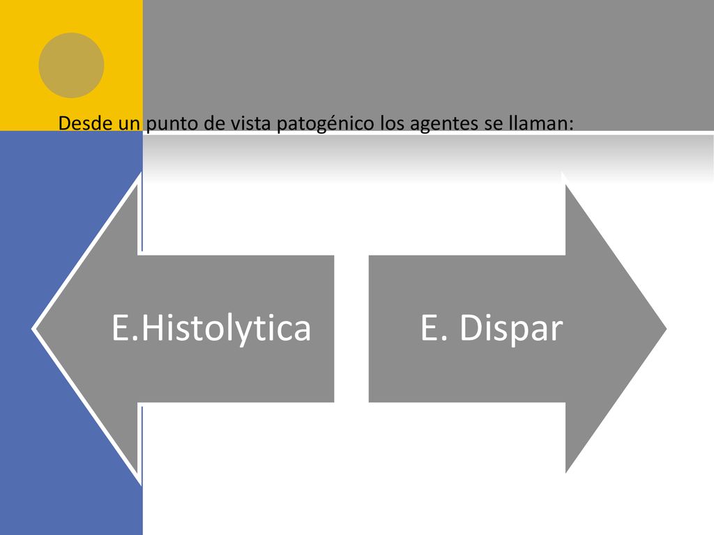 Desde un punto de vista patogénico los agentes se llaman: