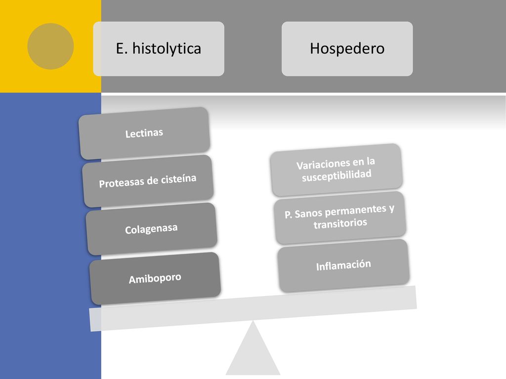 P. Sanos permanentes y transitorios Variaciones en la susceptibilidad