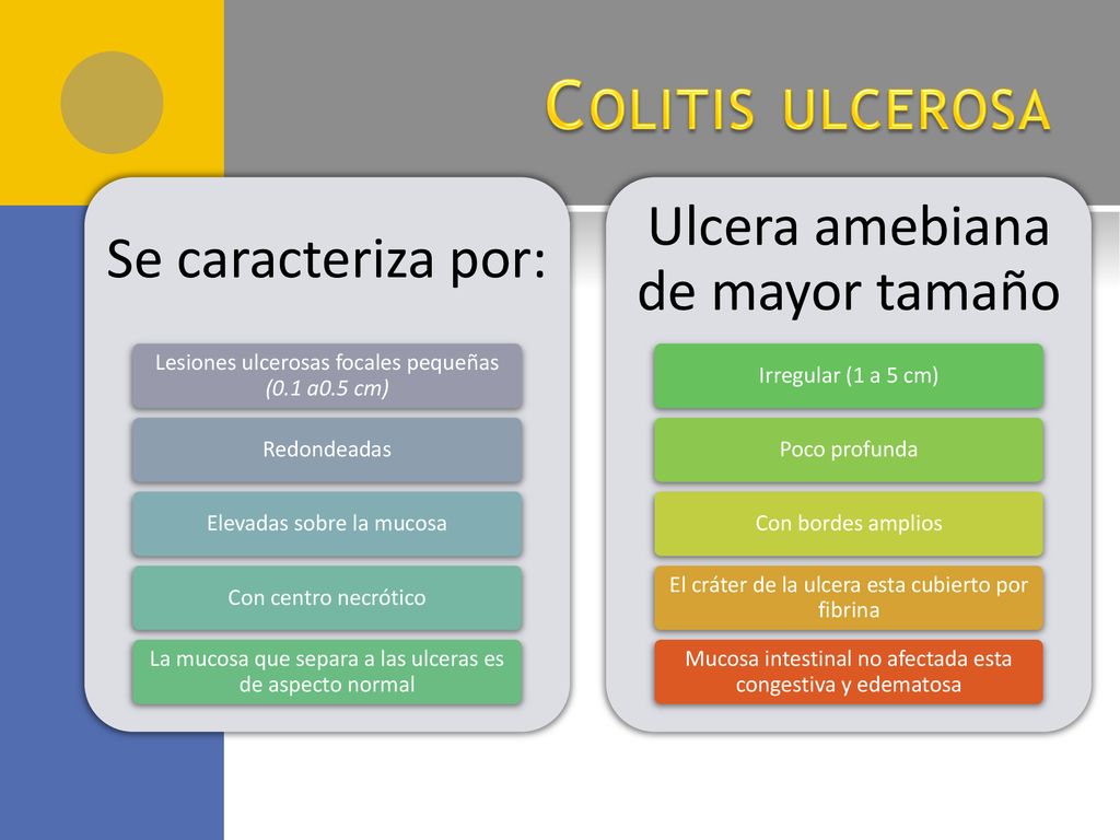 Colitis ulcerosa Ulcera amebiana de mayor tamaño Se caracteriza por: