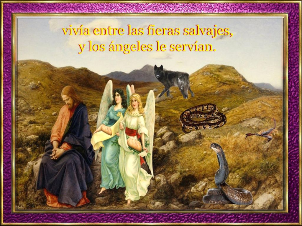 vivía entre las fieras salvajes, y los ángeles le servían.