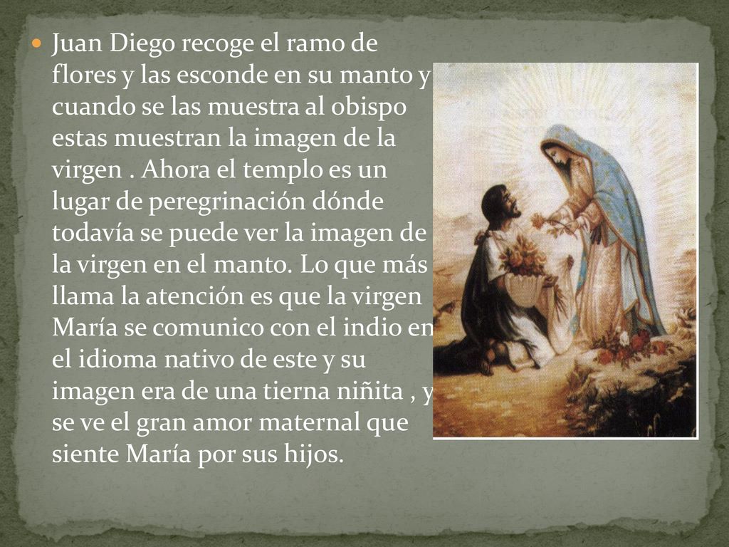 Juan Diego recoge el ramo de flores y las esconde en su manto y cuando se las muestra al obispo estas muestran la imagen de la virgen .