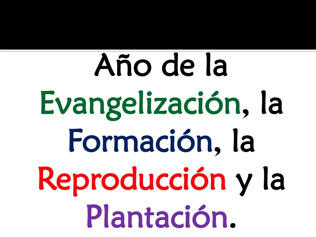 Año de la Evangelización, la Formación, la Reproducción y la Plantación.