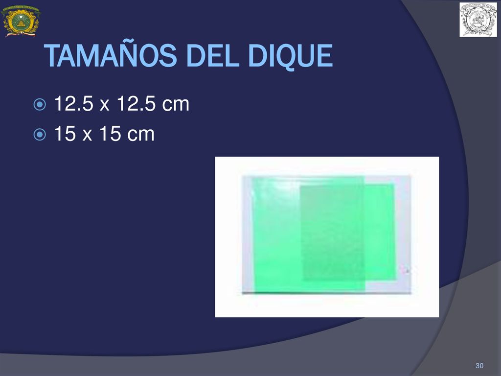 TAMAÑOS DEL DIQUE 12.5 x 12.5 cm 15 x 15 cm