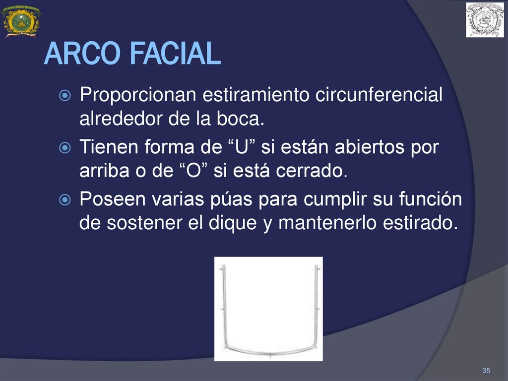 ARCO FACIAL Proporcionan estiramiento circunferencial alrededor de la boca.