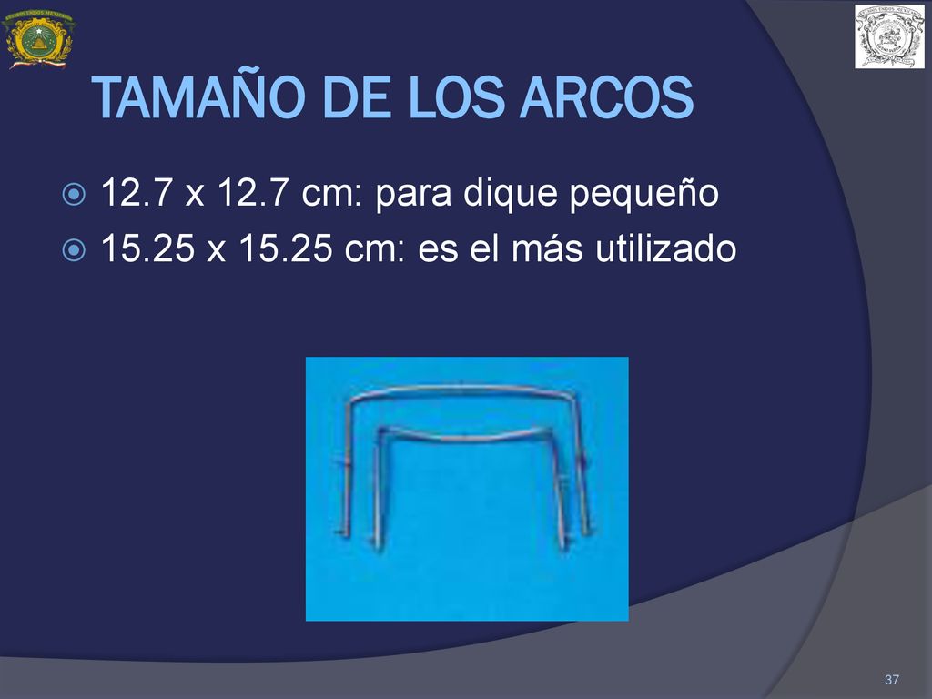 TAMAÑO DE LOS ARCOS 12.7 x 12.7 cm: para dique pequeño