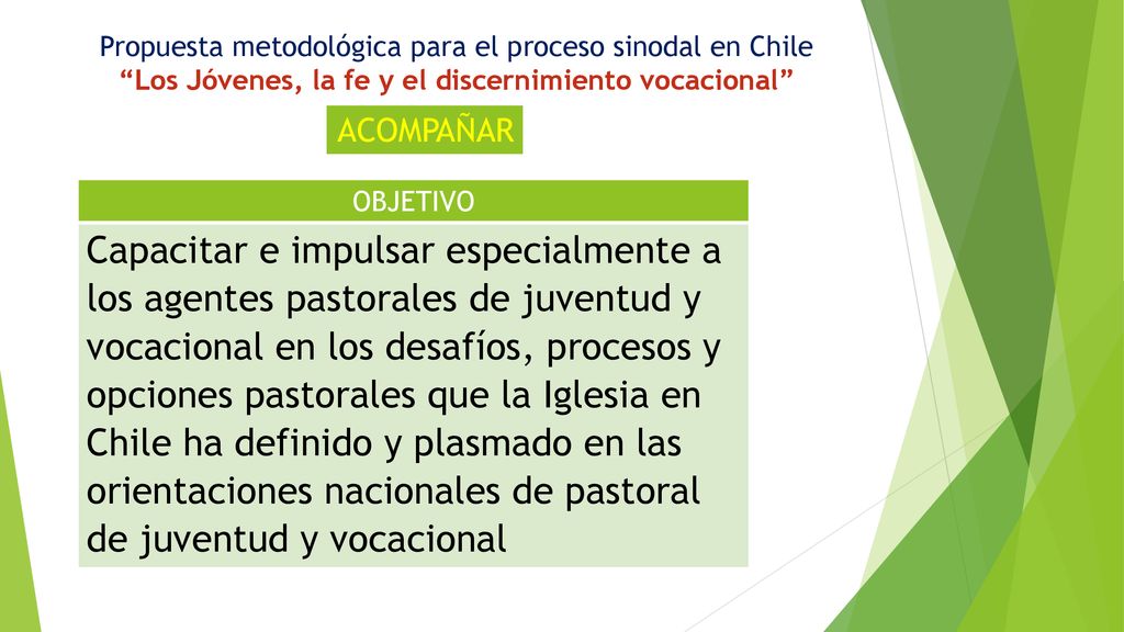 Propuesta metodológica para el proceso sinodal en Chile Los Jóvenes, la fe y el discernimiento vocacional