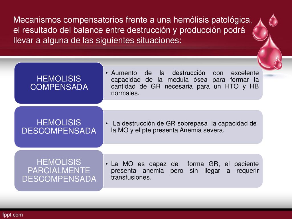 Mecanismos compensatorios frente a una hemólisis patológica, el resultado del balance entre destrucción y producción podrá llevar a alguna de las siguientes situaciones: