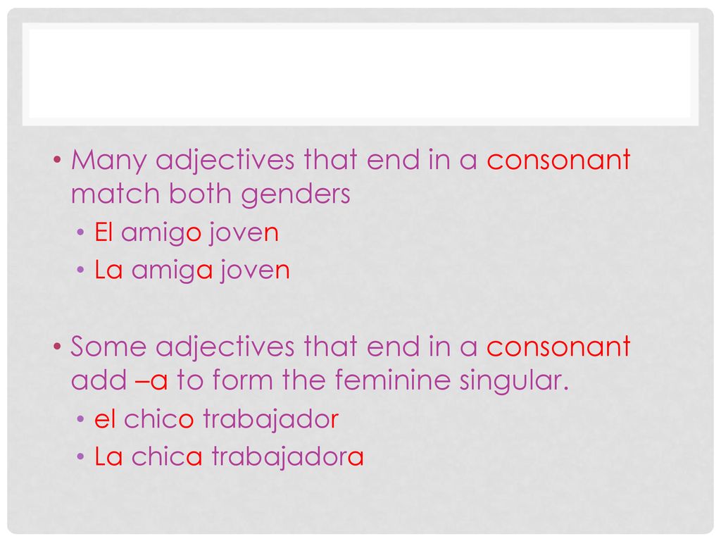Many adjectives that end in a consonant match both genders