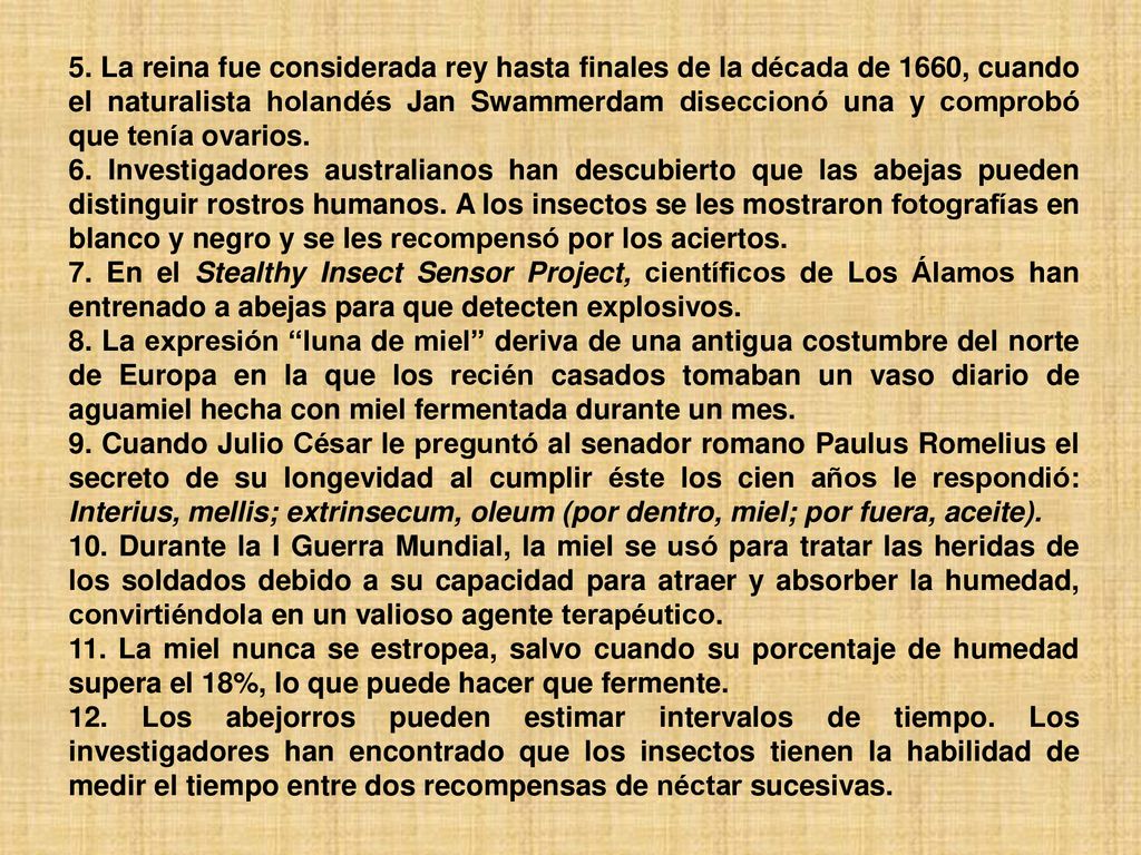5. La reina fue considerada rey hasta finales de la década de 1660, cuando el naturalista holandés Jan Swammerdam diseccionó una y comprobó que tenía ovarios.