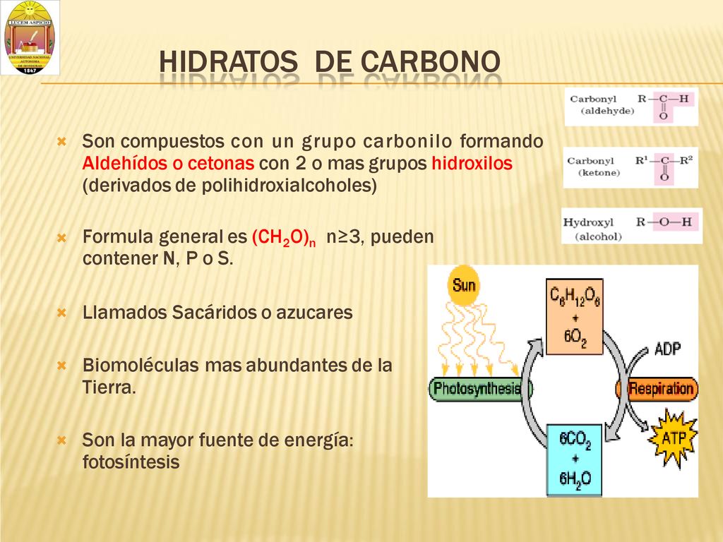 HIDRATOS DE CARBONO Formula general es (CH2O)n n≥3, pueden