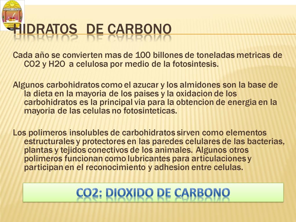 HIDRATOS DE CARBONO. Cada año se convierten mas de 100 billones de toneladas metricas de. CO2 y H2O a celulosa por medio de la fotosintesis.
