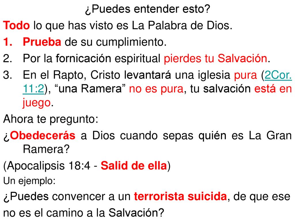 Todo lo que has visto es La Palabra de Dios.