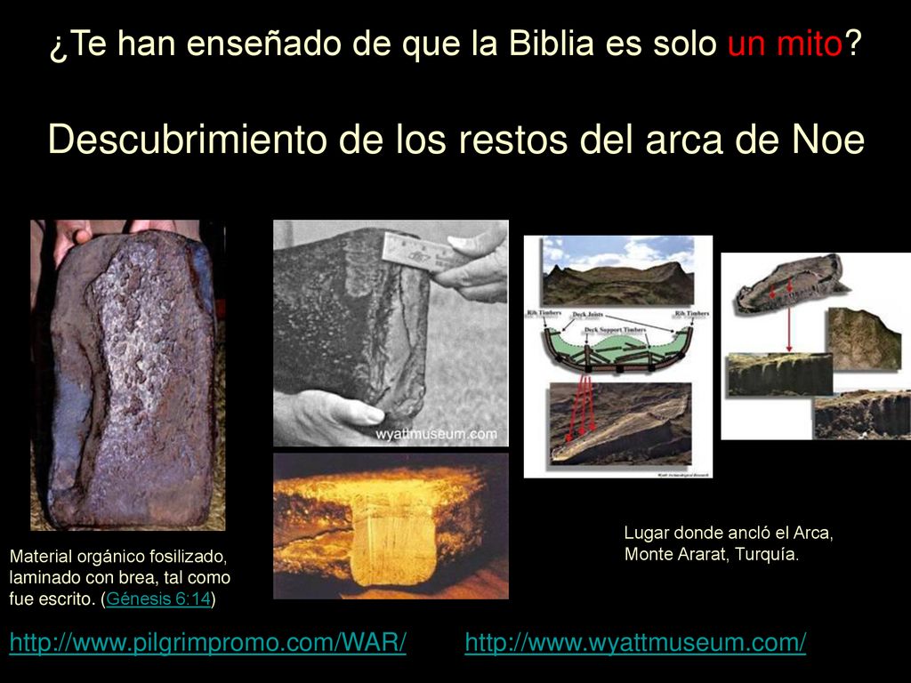 ¿Te han enseñado de que la Biblia es solo un mito