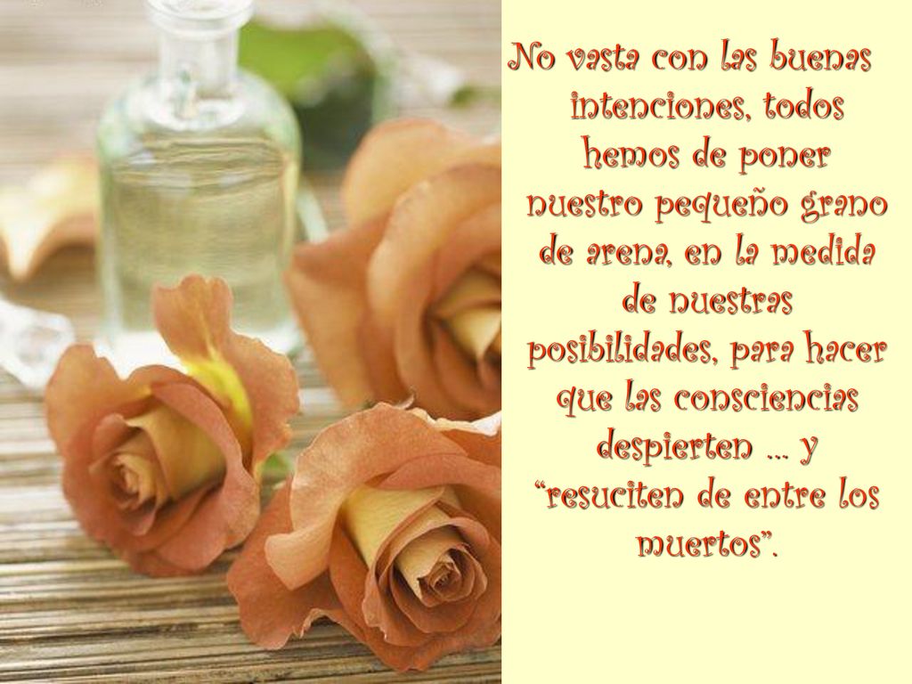 No vasta con las buenas intenciones, todos hemos de poner nuestro pequeño grano de arena, en la medida de nuestras posibilidades, para hacer que las consciencias despierten … y resuciten de entre los muertos .