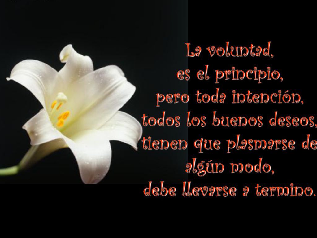 La voluntad, es el principio, pero toda intención, todos los buenos deseos, tienen que plasmarse de algún modo, debe llevarse a termino.