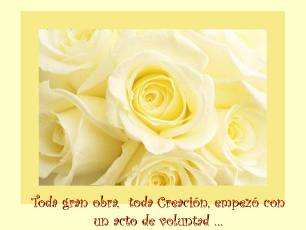 Toda gran obra, toda Creación, empezó con un acto de voluntad …