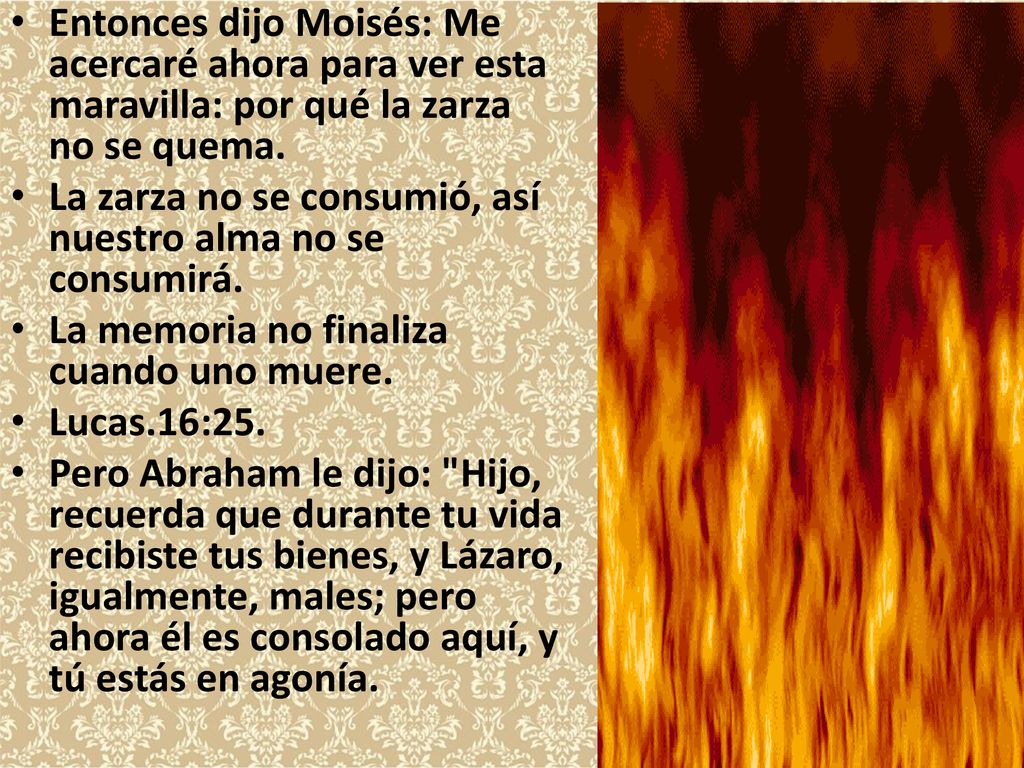 Entonces dijo Moisés: Me acercaré ahora para ver esta maravilla: por qué la zarza no se quema.