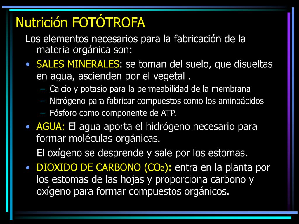 Nutrición FOTÓTROFA Los elementos necesarios para la fabricación de la materia orgánica son: