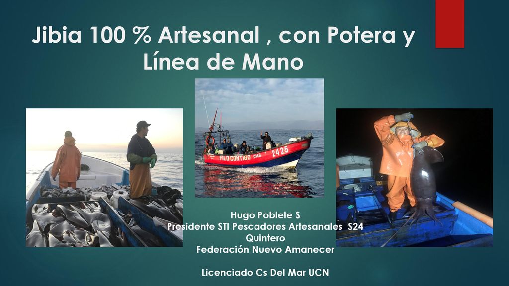 Jibia 100 % Artesanal , con Potera y Línea de Mano