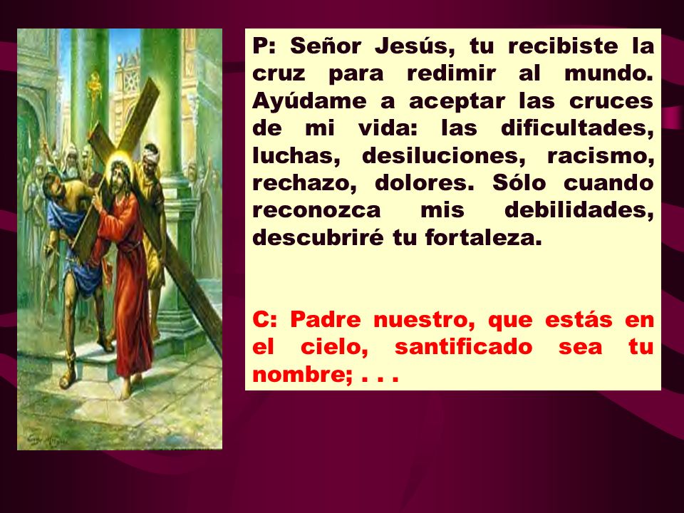 P: Señor Jesús, tu recibiste la cruz para redimir al mundo