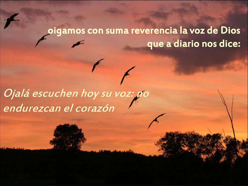 Ojalá escuchen hoy su voz: no endurezcan el corazón
