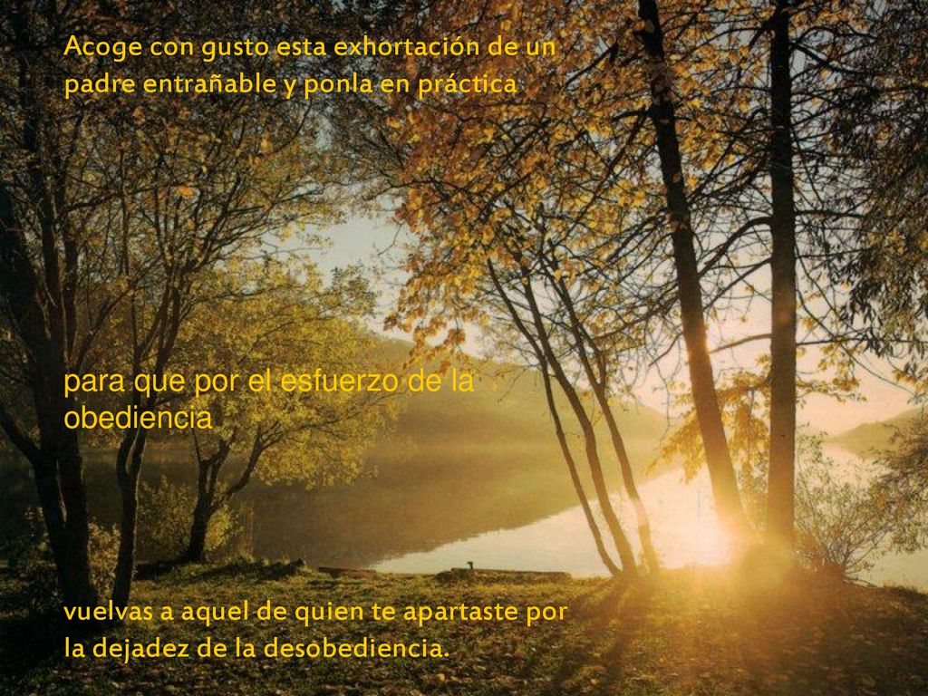 Acoge con gusto esta exhortación de un padre entrañable y ponla en práctica