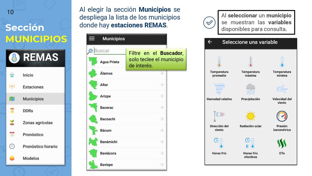 Al elegir la sección Municipios se despliega la lista de los municipios donde hay estaciones REMAS.