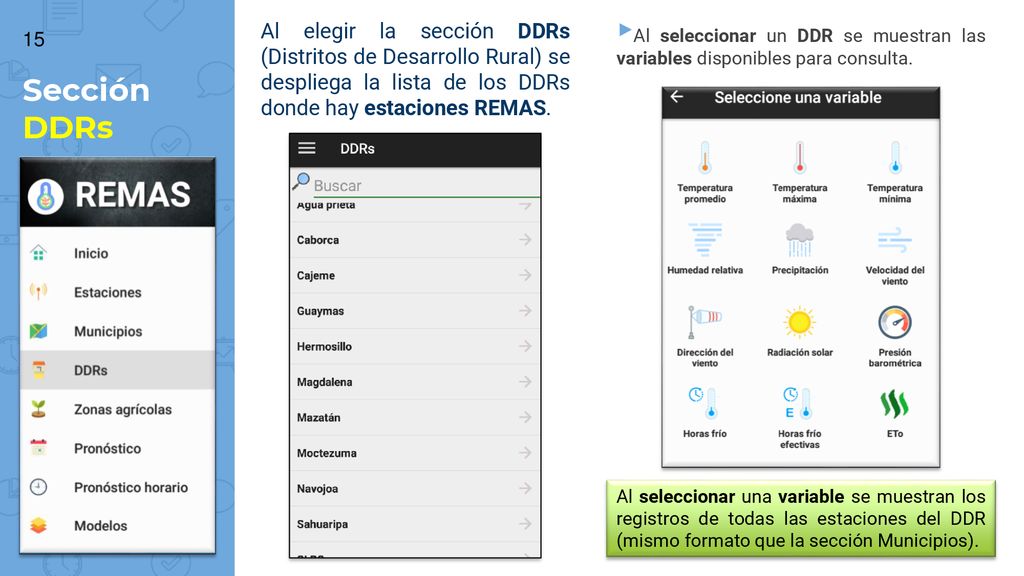 Al elegir la sección DDRs (Distritos de Desarrollo Rural) se despliega la lista de los DDRs donde hay estaciones REMAS.