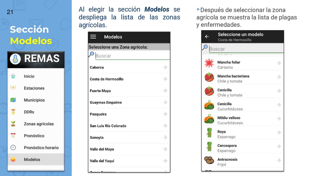 Al elegir la sección Modelos se despliega la lista de las zonas agrícolas.