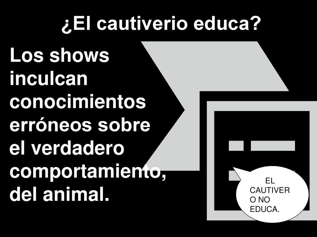 ¿El cautiverio educa Los shows inculcan conocimientos erróneos sobre el verdadero comportamiento, del animal.
