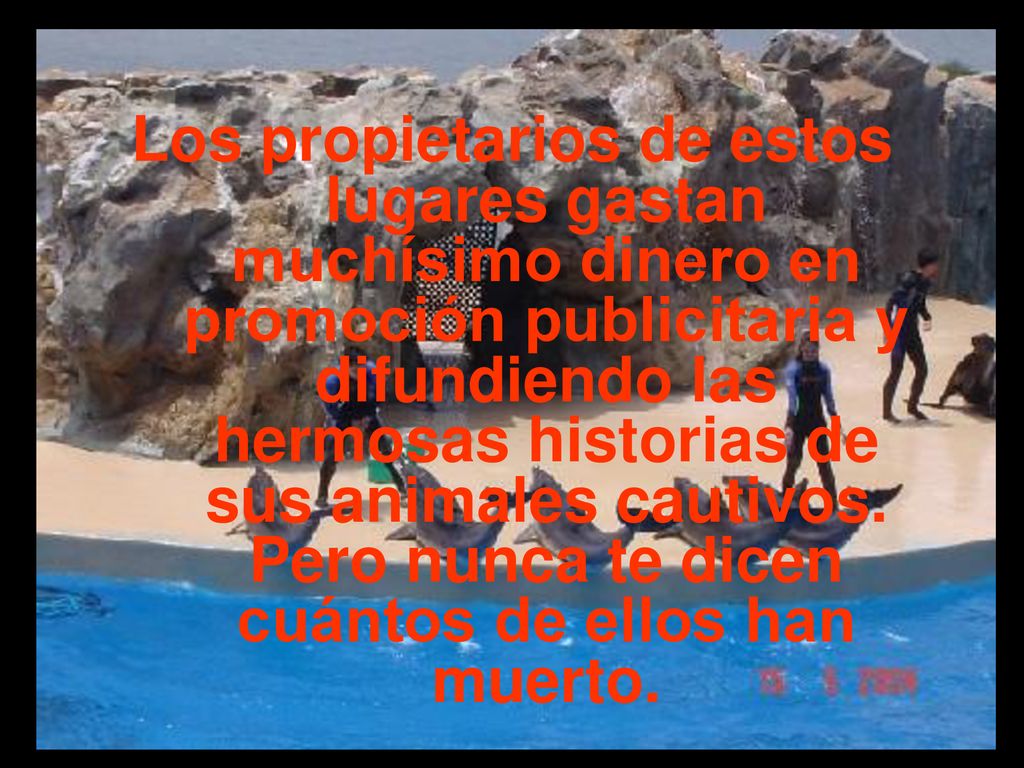 Los propietarios de estos lugares gastan muchísimo dinero en promoción publicitaria y difundiendo las hermosas historias de sus animales cautivos.