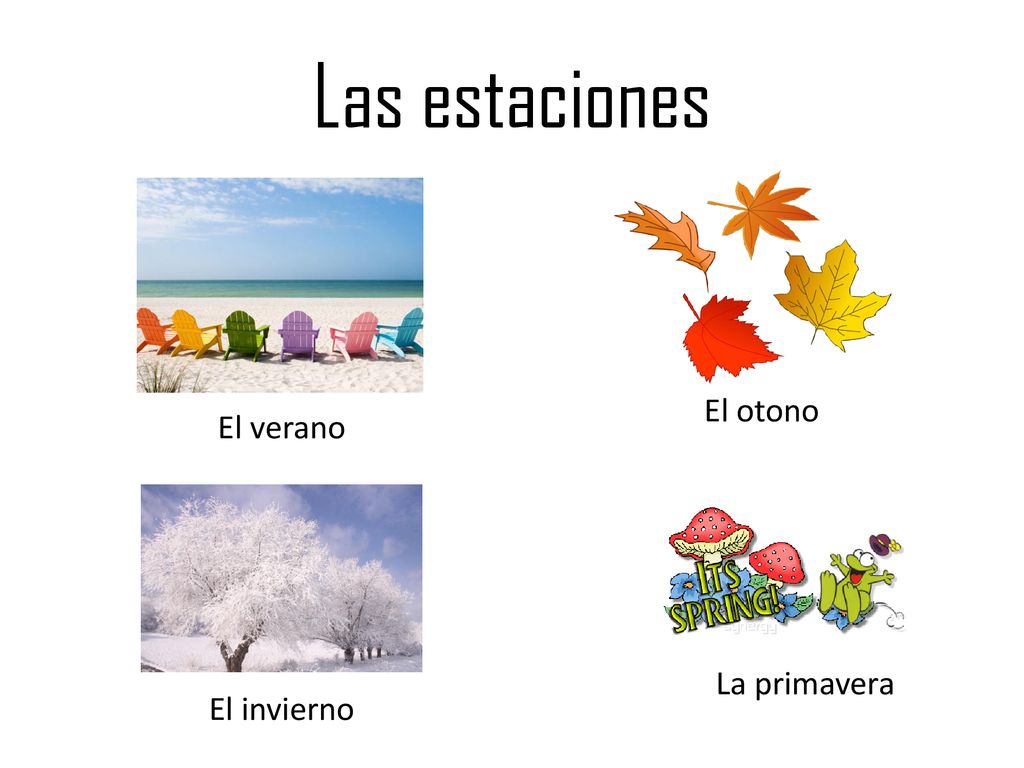 Las estaciones El otono El verano La primavera El invierno