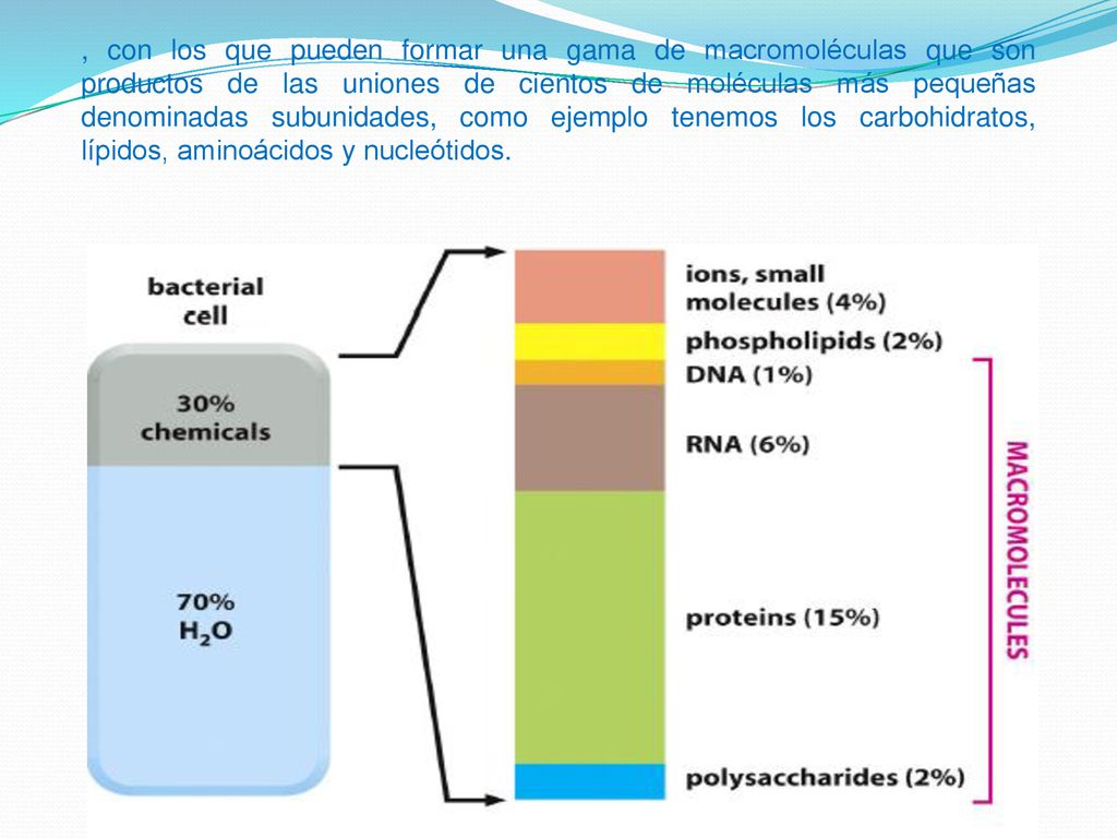 , con los que pueden formar una gama de macromoléculas que son productos de las uniones de cientos de moléculas más pequeñas denominadas subunidades, como ejemplo tenemos los carbohidratos, lípidos, aminoácidos y nucleótidos.