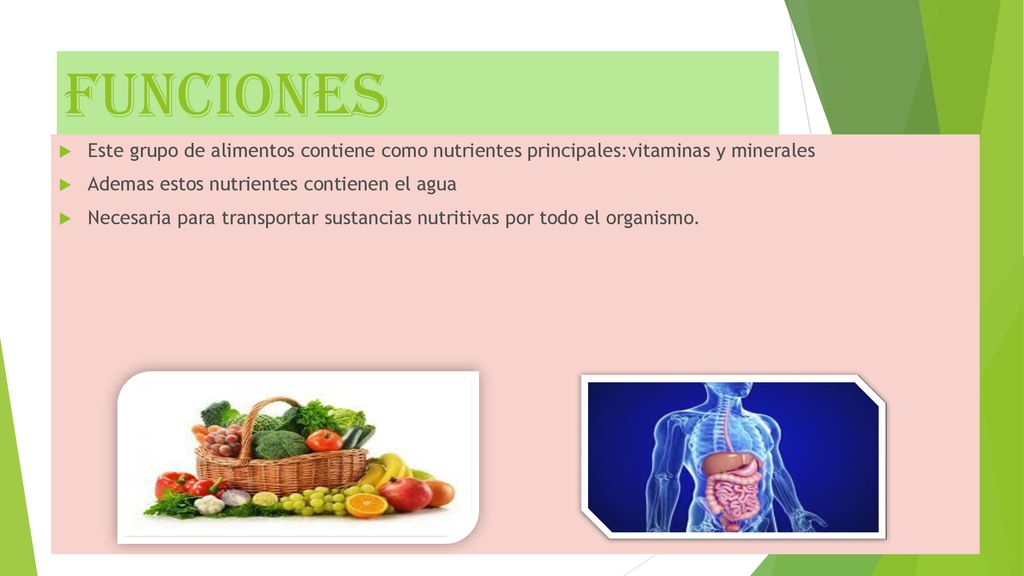 Funciones Este grupo de alimentos contiene como nutrientes principales:vitaminas y minerales. Ademas estos nutrientes contienen el agua.