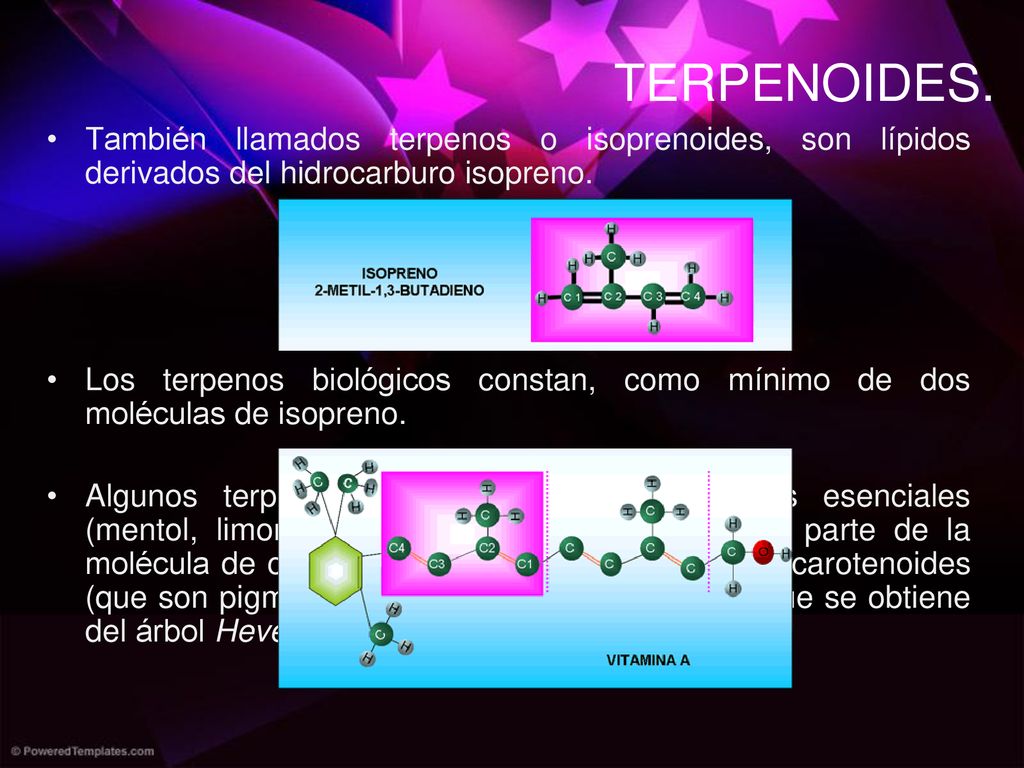 TERPENOIDES. También llamados terpenos o isoprenoides, son lípidos derivados del hidrocarburo isopreno.