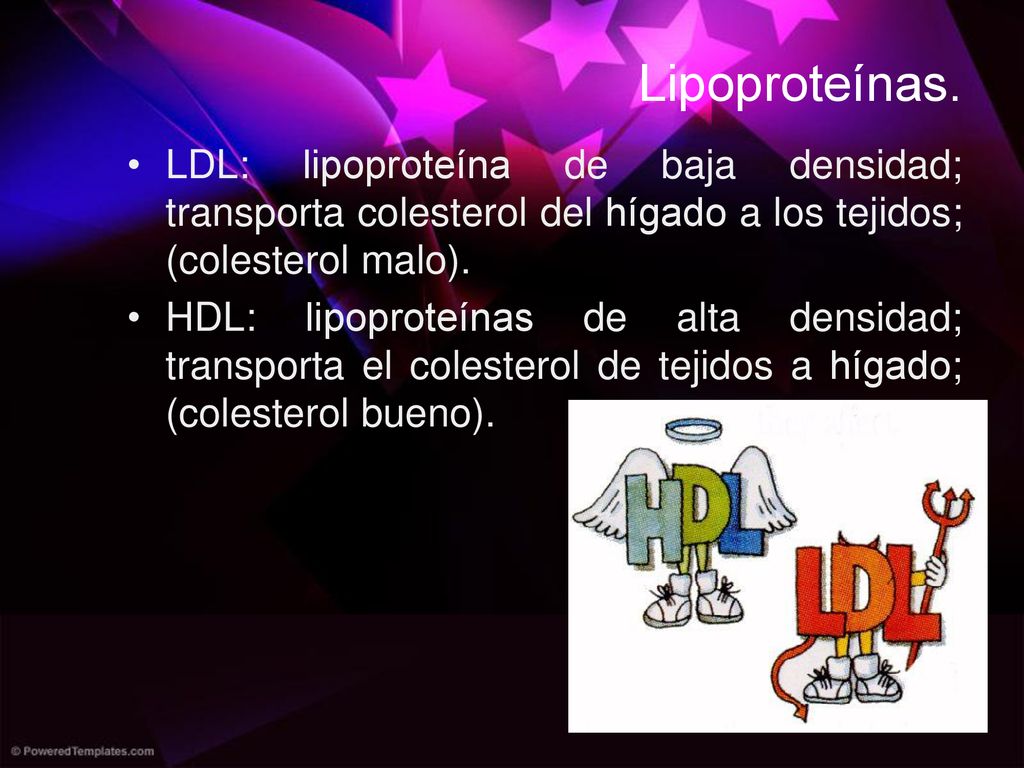 Lipoproteínas. LDL: lipoproteína de baja densidad; transporta colesterol del hígado a los tejidos; (colesterol malo).