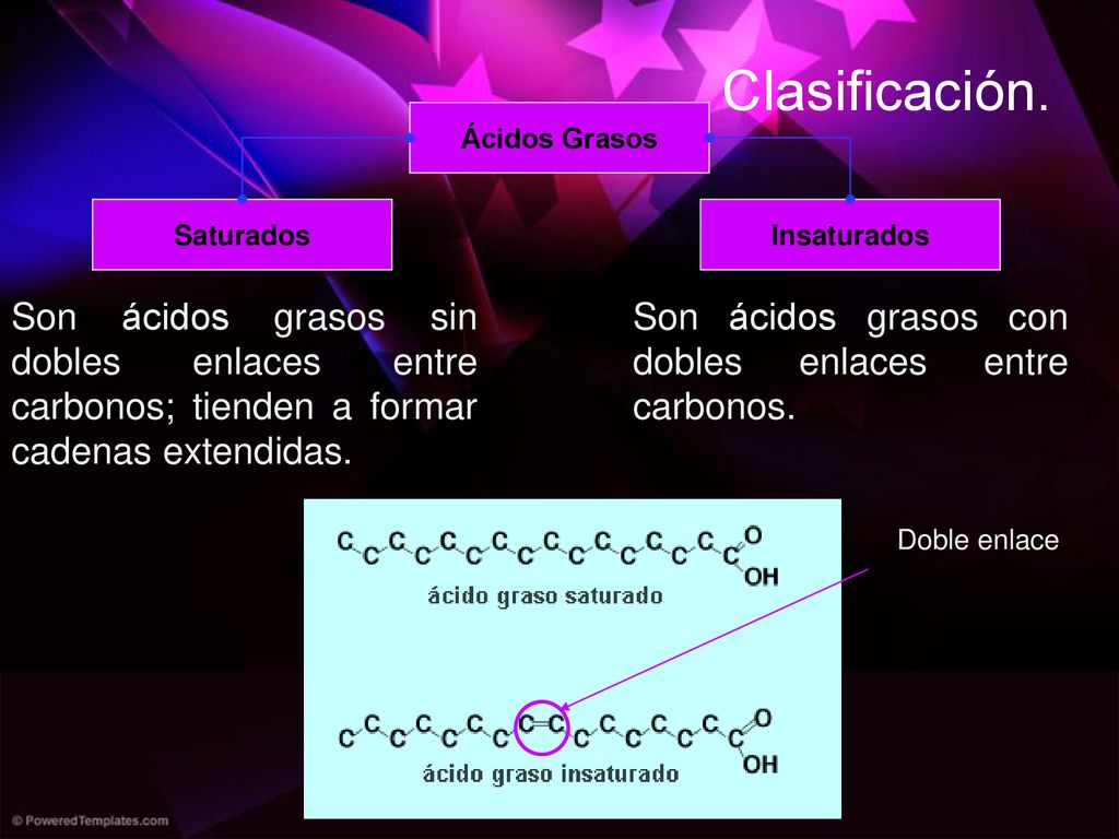 Clasificación. Ácidos Grasos. Saturados. Insaturados. Son ácidos grasos sin dobles enlaces entre carbonos; tienden a formar cadenas extendidas.