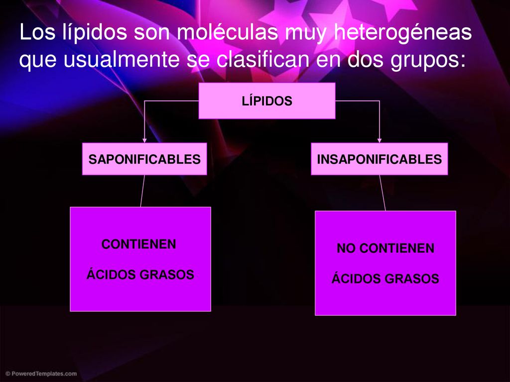 Los lípidos son moléculas muy heterogéneas que usualmente se clasifican en dos grupos: