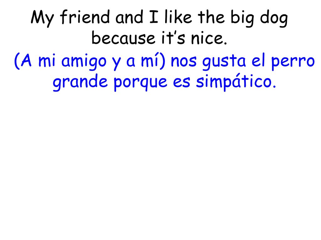 My friend and I like the big dog because it’s nice.