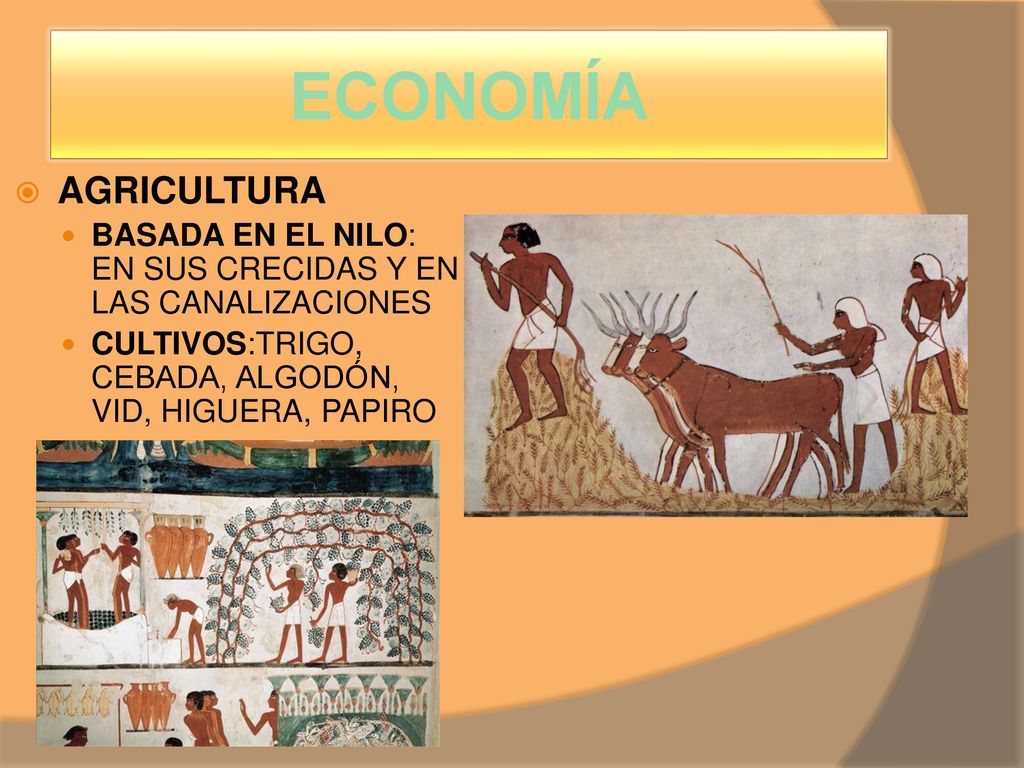 ECONOMÍA AGRICULTURA. BASADA EN EL NILO: EN SUS CRECIDAS Y EN LAS CANALIZACIONES.