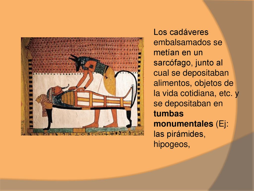 Los cadáveres embalsamados se metían en un sarcófago, junto al cual se depositaban alimentos, objetos de la vida cotidiana, etc.