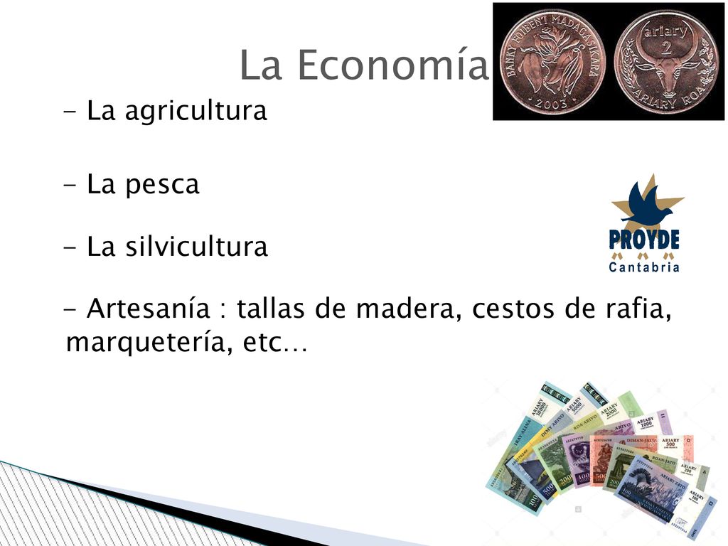 La Economía - La agricultura - La pesca - La silvicultura