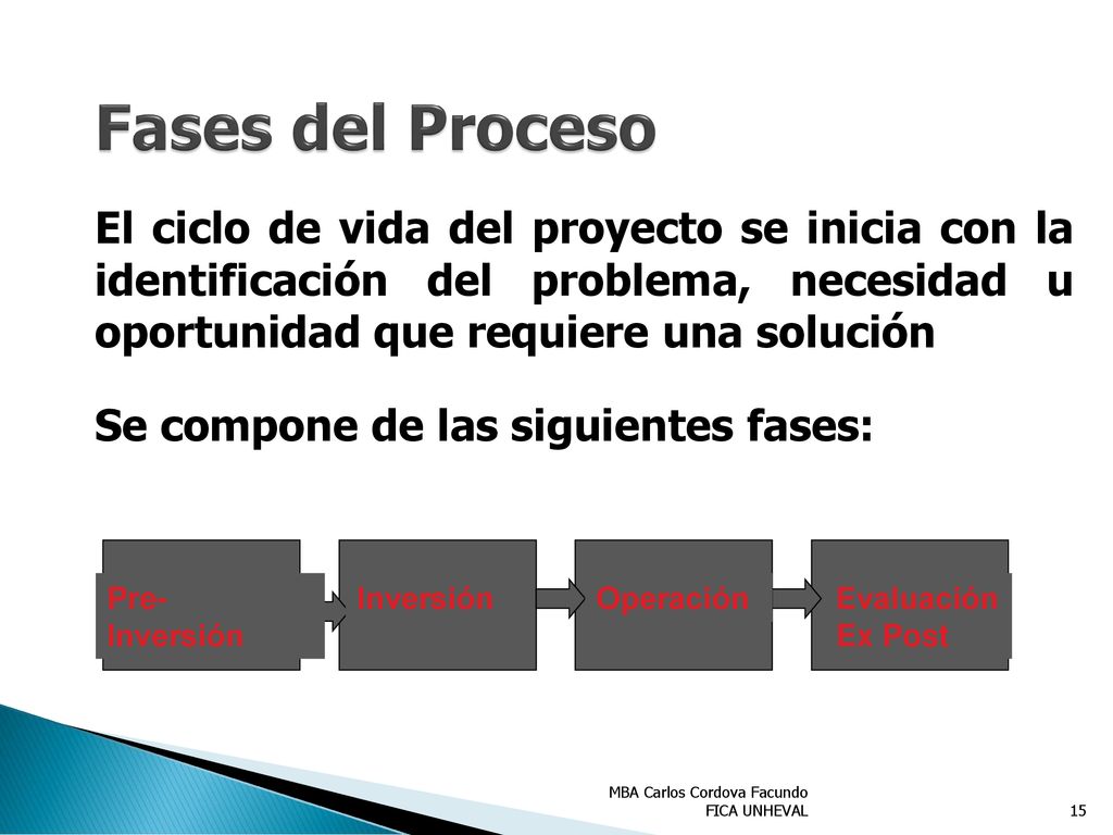 Fases del Proceso El ciclo de vida del proyecto se inicia con la identificación del problema, necesidad u oportunidad que requiere una solución.