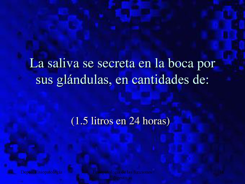 La saliva se secreta en la boca por sus glándulas, en cantidades de: