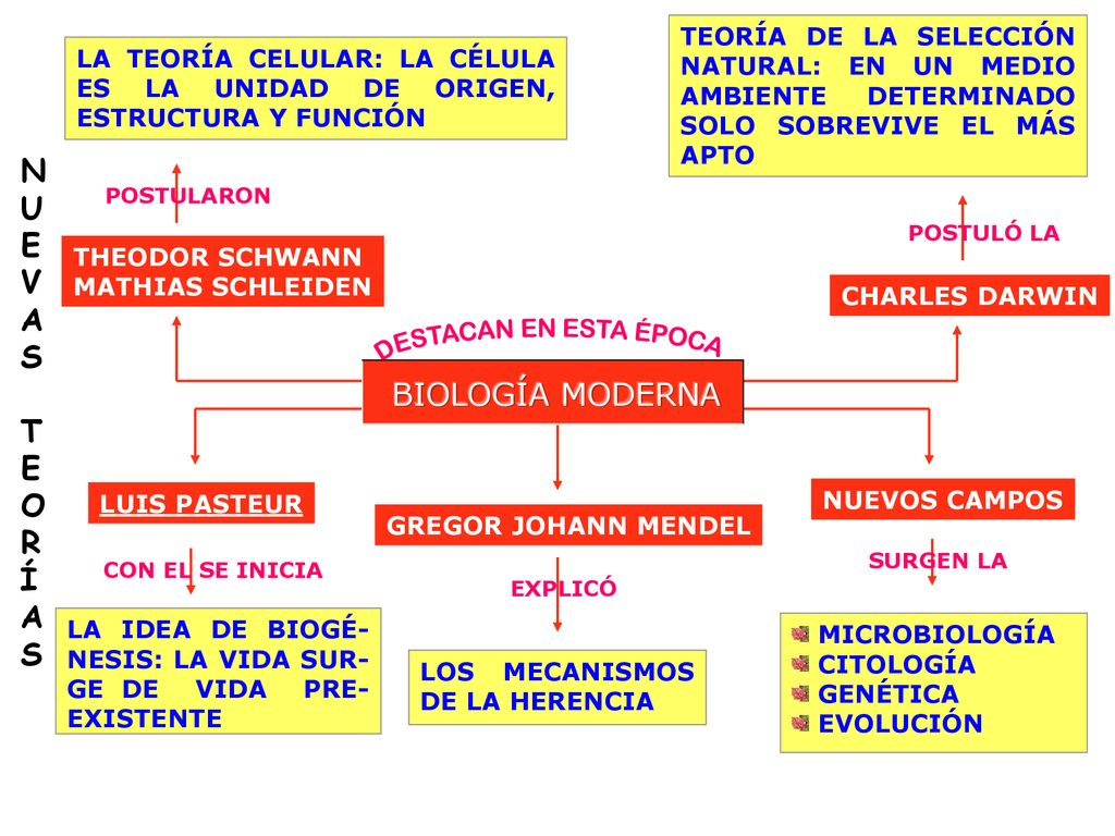 N U E V A S T O R Í BIOLOGÍA MODERNA