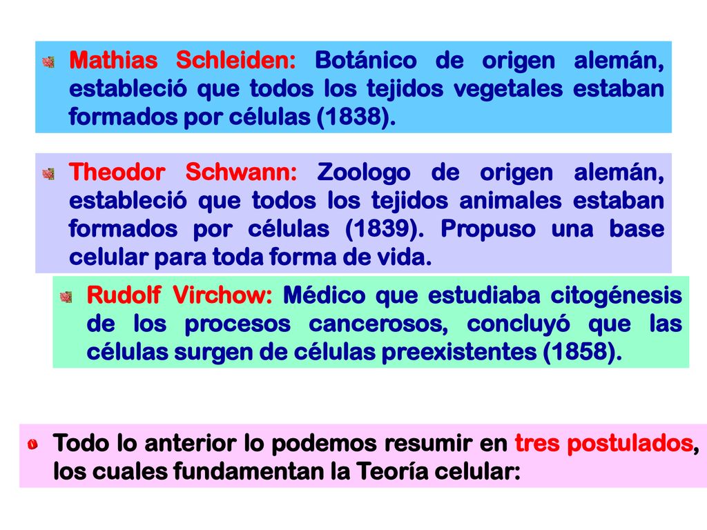 Mathias Schleiden: Botánico de origen alemán, estableció que todos los tejidos vegetales estaban formados por células (1838).